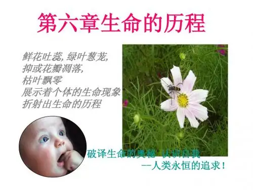 人教版教学课件第 1 节 细胞的增殖