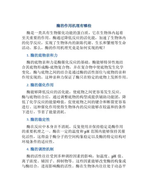 酶的作用机理有哪些