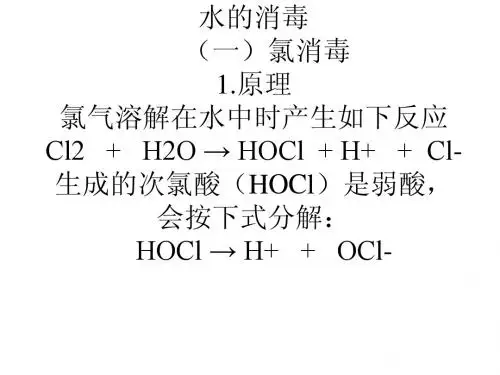 水的消毒.ppt