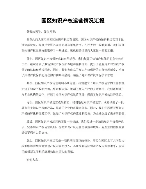 园区知识产权运营情况汇报