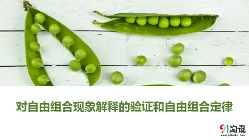 课件2：1.2.2 对自由组合现象解释的验证和自由组合定律