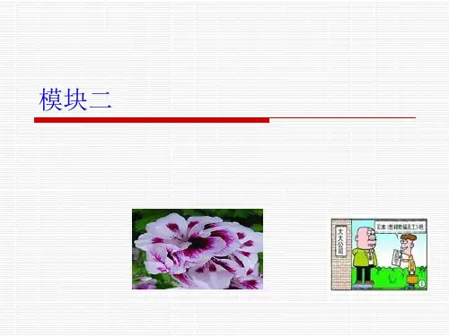 国际金融课件模块二汇率折算报价