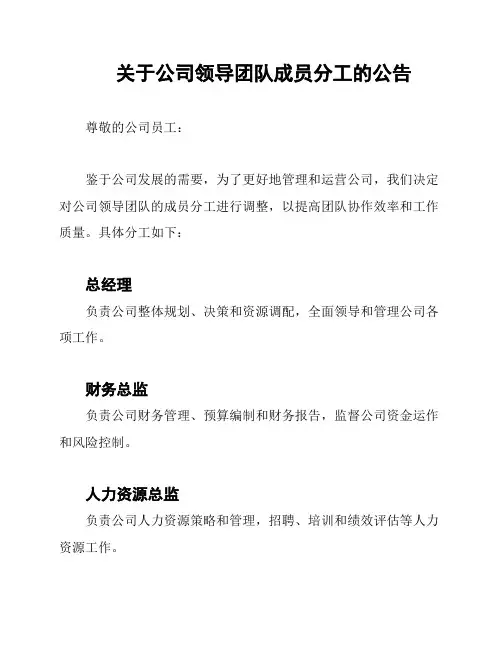 关于公司领导团队成员分工的公告