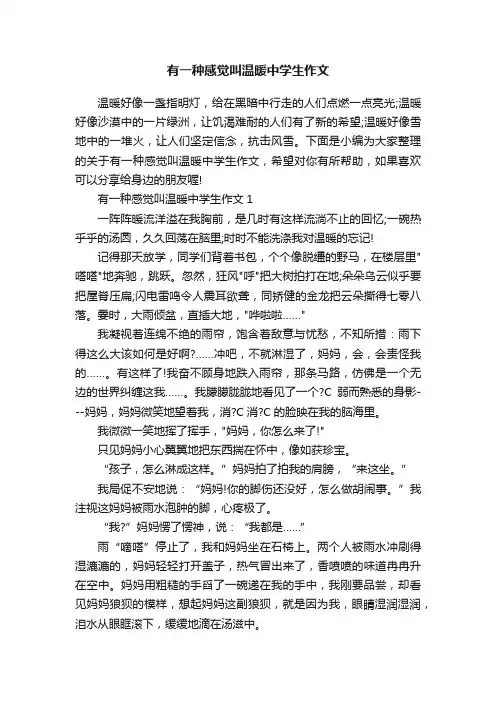 有一种感觉叫温暖中学生作文