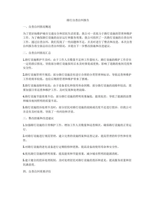 路灯自查自纠报告