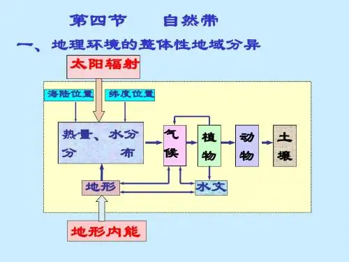 高二地理自然带(教学课件2019)