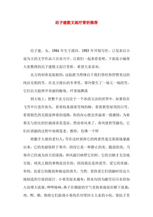 迟子建散文泥泞赏析推荐