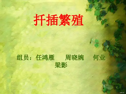 扦插繁殖(图文并茂)ppt课件