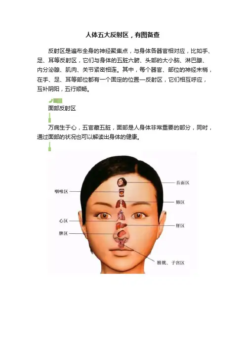 人体五大反射区，有图备查