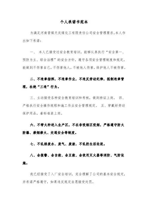 个人承诺书范本（7篇）