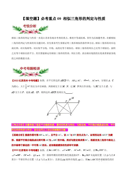 【中考专项】2023年中考数学转向练习之选择题09 相似三角形的判定与性质