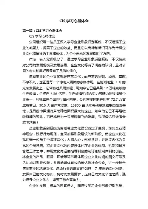 CIS学习心得体会
