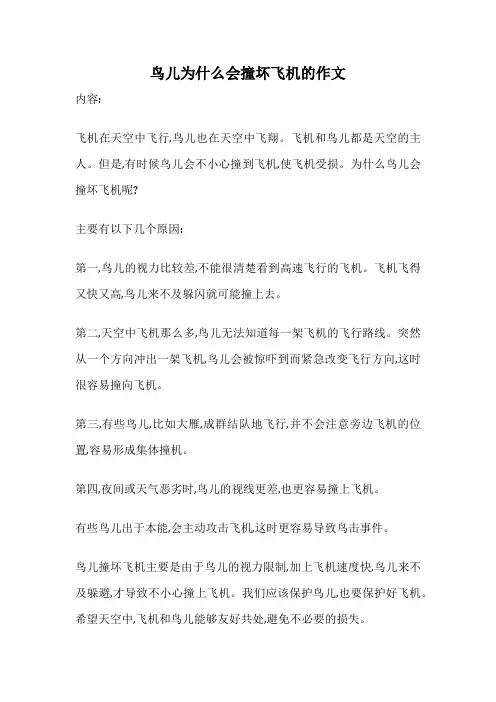 鸟儿为什么会撞坏飞机的作文