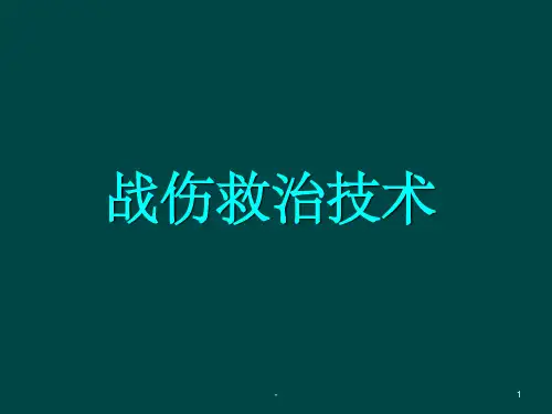 战伤救治技术 ppt