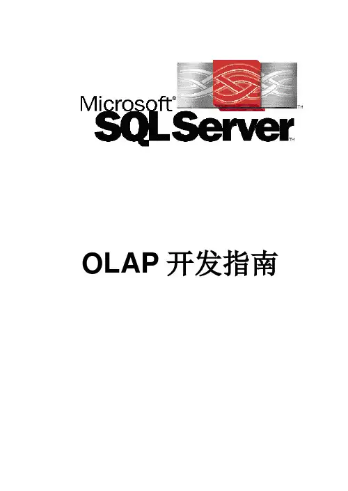 OLAP开发指南