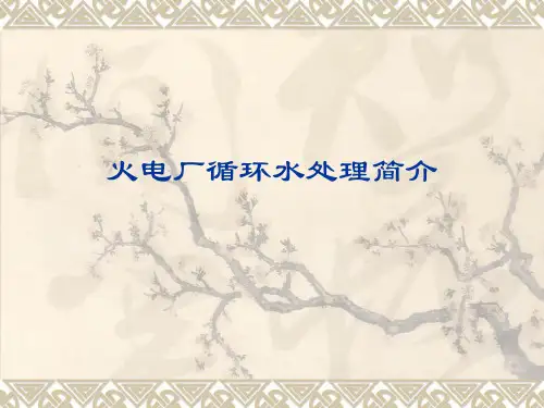 火电厂循环水处理简介