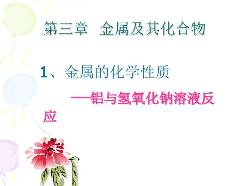 铝与氢氧化钠溶液反应(新)