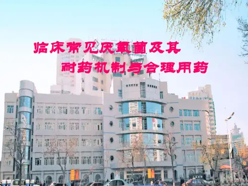 临床常见厌氧菌及其耐药机制与合理用药