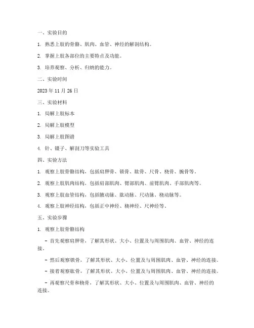 局解上肢实验报告