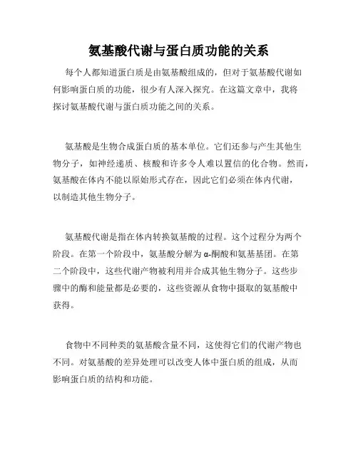 氨基酸代谢与蛋白质功能的关系