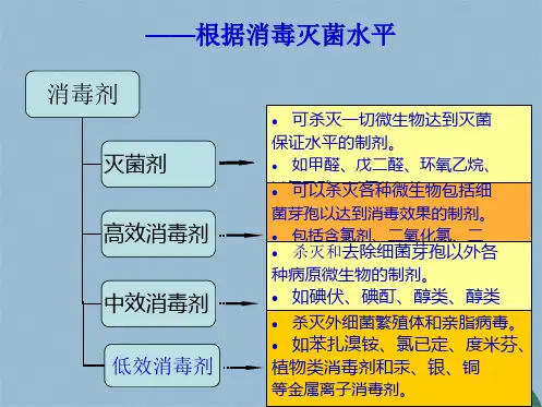 常用化学消毒剂的使用与浓度监测(共29张PPT)