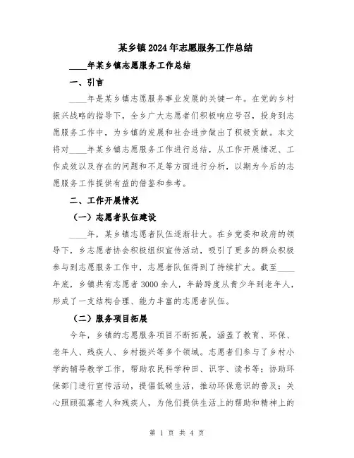 某乡镇2024年志愿服务工作总结