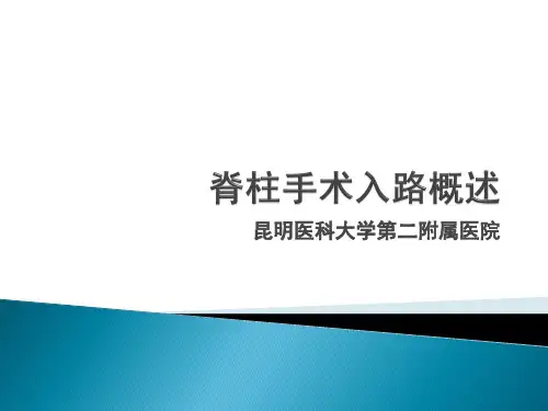 脊柱手术入路概述