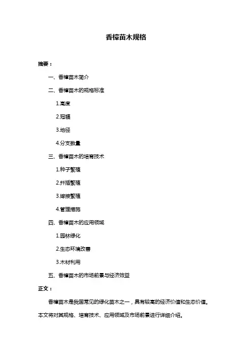 香樟苗木规格