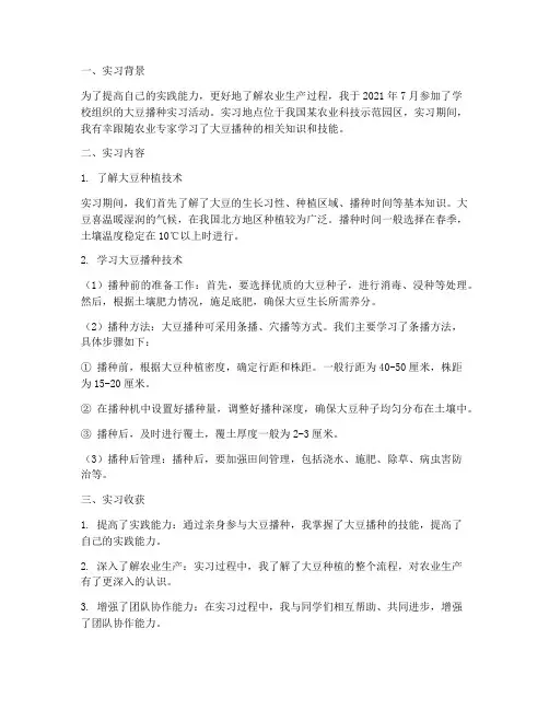 大豆播种实习报告