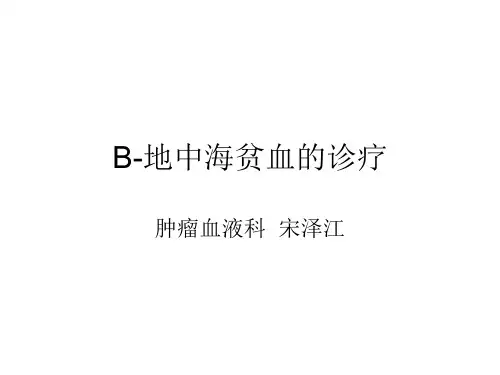 B-地中海贫血的诊