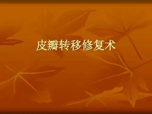 皮瓣转移修复术2014-10