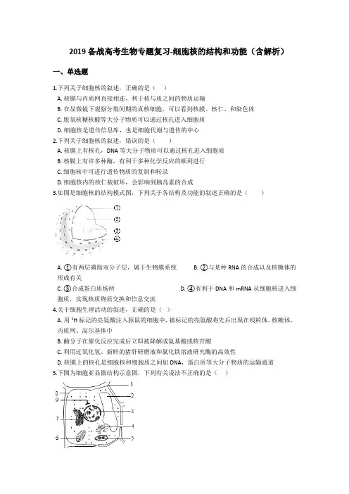 2019备战高考生物专题复习-细胞核的结构和功能(含解析)