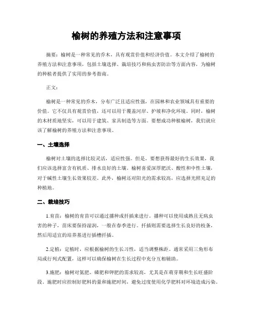 榆树的养殖方法和注意事项