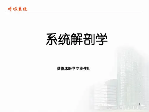 系统解剖学课件-第六章 呼吸系统