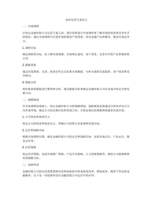 金控运营方案范文