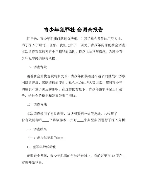 青少年犯罪社 会调查报告
