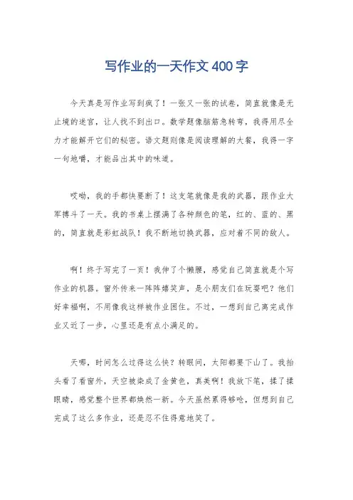 写作业的一天作文400字
