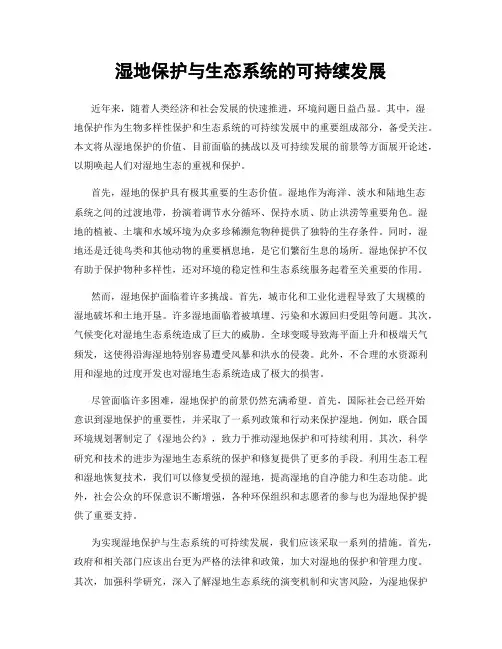 湿地保护与生态系统的可持续发展