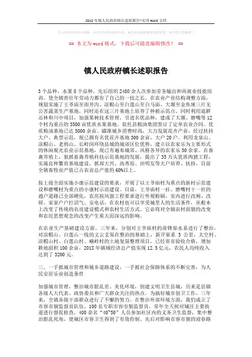 2018年镇人民政府镇长述职报告-实用word文档 (4页)