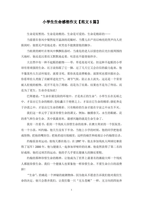 精选小学生生命感想作文【范文5篇】