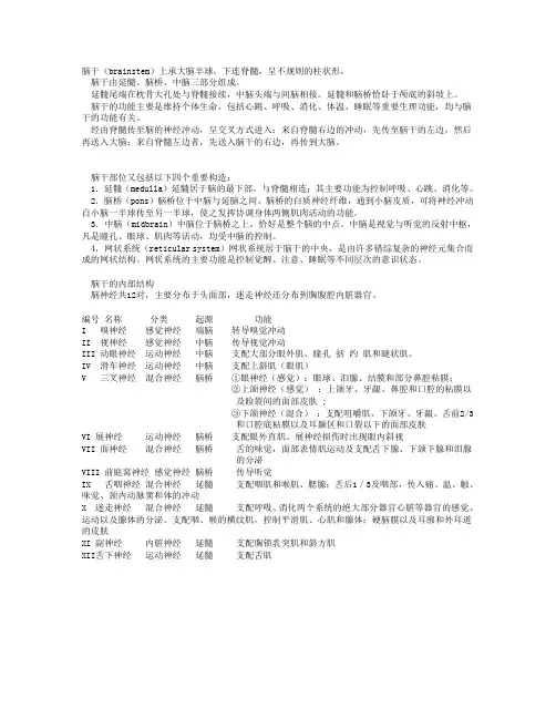 12对脑神经
