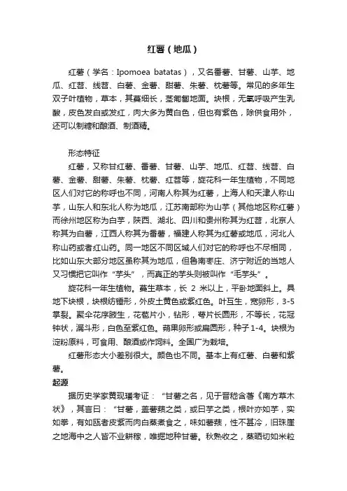 红薯（地瓜）