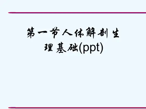 第一节人体解剖生理基础(ppt)