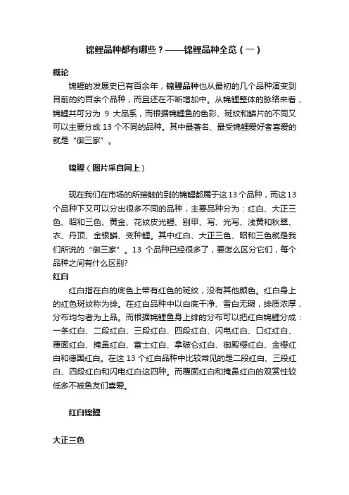 锦鲤品种都有哪些？——锦鲤品种全览（一）