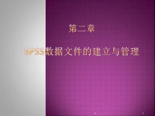 薛薇_《SPSS统计分析方法及应用》第二章__数据录入与数据获取