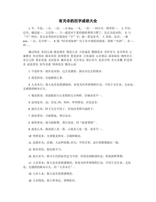 有关非的四字成语大全