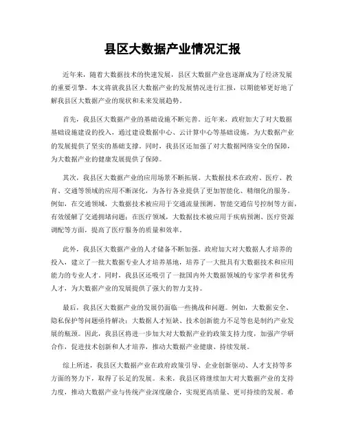 县区大数据产业情况汇报