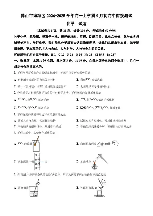 广东省佛山市南海区2024-2025学年高一上学期9月初高中衔接测试化学试题(含答案)