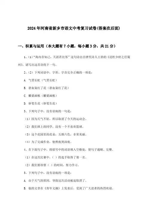 河南省新乡市语文中考试卷及解答参考(2024年)