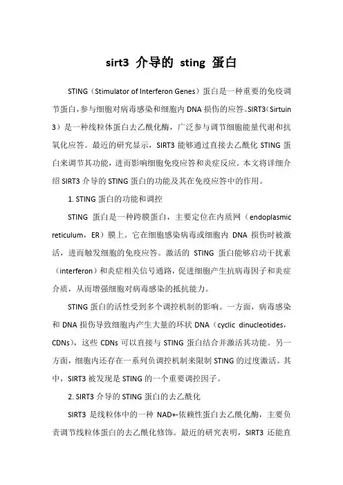 sirt3 介导的 sting 蛋白
